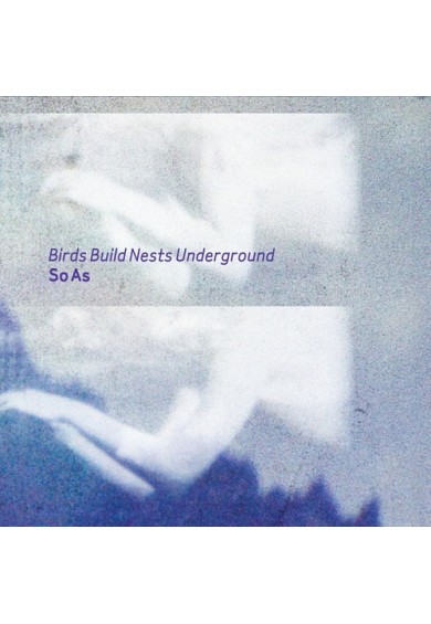 BIRDS BUILD NESTS UNDERGROUND  "so as" cd